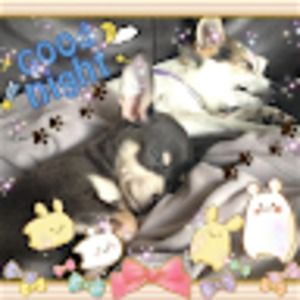 Meet your Posher, Sally